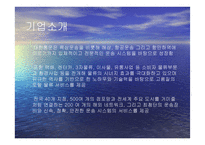 대한통운 분석 보고서-2
