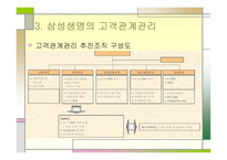 삼성생명의 고객관계 관리-10