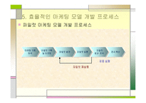 삼성생명의 고객관계 관리-19
