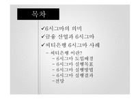 시그마 기업 사례보고서-2