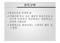 시그마 기업 사례보고서-3