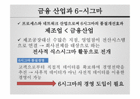 시그마 기업 사례보고서-4
