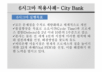 시그마 기업 사례보고서-8