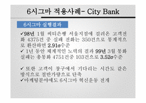 시그마 기업 사례보고서-10