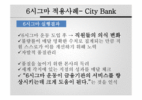 시그마 기업 사례보고서-11