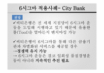 시그마 기업 사례보고서-12
