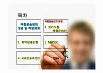 국제 복합운송인-2