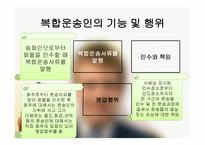 국제 복합운송인-4