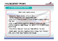 Southwest airline 사우스웨스트 물류관리론-8