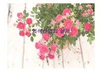 외식산업의 실제-1