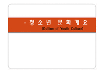 청소년 문화 개요-1