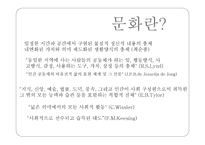 청소년 문화 개요-2