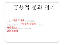 청소년 문화 개요-3