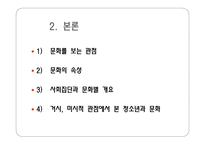 청소년 문화 개요-6