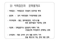 청소년 문화 개요-10