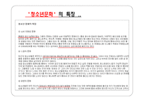 청소년 문화 개요-13