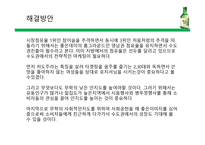 “수도권 진출을 위한 좋은 데이 마케팅 전략”-17