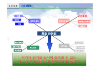 테마여행사 패키지 창업계획서-16