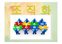 조직화 개론 레포트-1