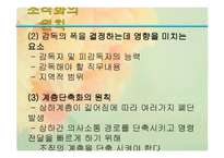 조직화 개론 레포트-10