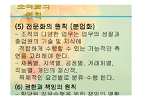 조직화 개론 레포트-12