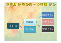 조직화 개론 레포트-19