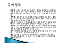 사업계획서 콩 마케팅-7