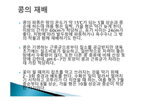 사업계획서 콩 마케팅-9