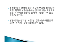 사업계획서 콩 마케팅-10