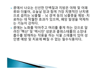 사업계획서 콩 마케팅-12