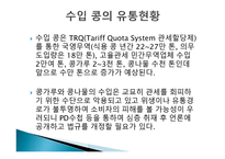 사업계획서 콩 마케팅-17