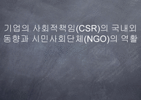기업의 사회적 책임 CSR의 국내외 동향과 시민사회단체 NGO의 역할 보고서-1