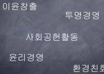 기업의 사회적 책임 CSR의 국내외 동향과 시민사회단체 NGO의 역할 보고서-3
