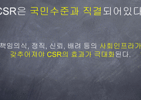 기업의 사회적 책임 CSR의 국내외 동향과 시민사회단체 NGO의 역할 보고서-16