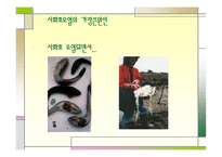 간척사업과 환경파괴-14