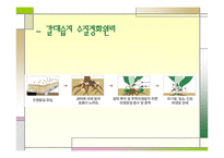 간척사업과 환경파괴-16