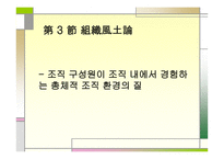 조직론 개론 레포트-3