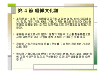 조직론 개론 레포트-12