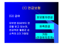 독일과 일본의 노인복지제도-13