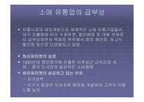 국내 유통업체의 중국시장 진출방향_934-4