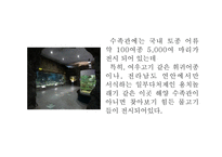 답사보고서 여수 세계박람회-13