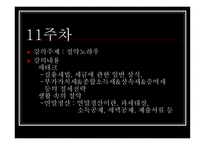 학교에서 강의했으면 좋을만한 수업을 기획-19