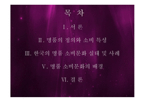한국사회의 일그러진 명품 소비형태-3