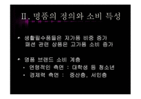 한국사회의 일그러진 명품 소비형태-5