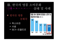 한국사회의 일그러진 명품 소비형태-8