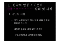 한국사회의 일그러진 명품 소비형태-11