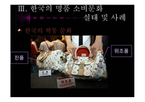 한국사회의 일그러진 명품 소비형태-14
