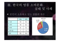 한국사회의 일그러진 명품 소비형태-16