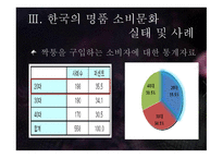 한국사회의 일그러진 명품 소비형태-17