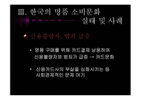 한국사회의 일그러진 명품 소비형태-19